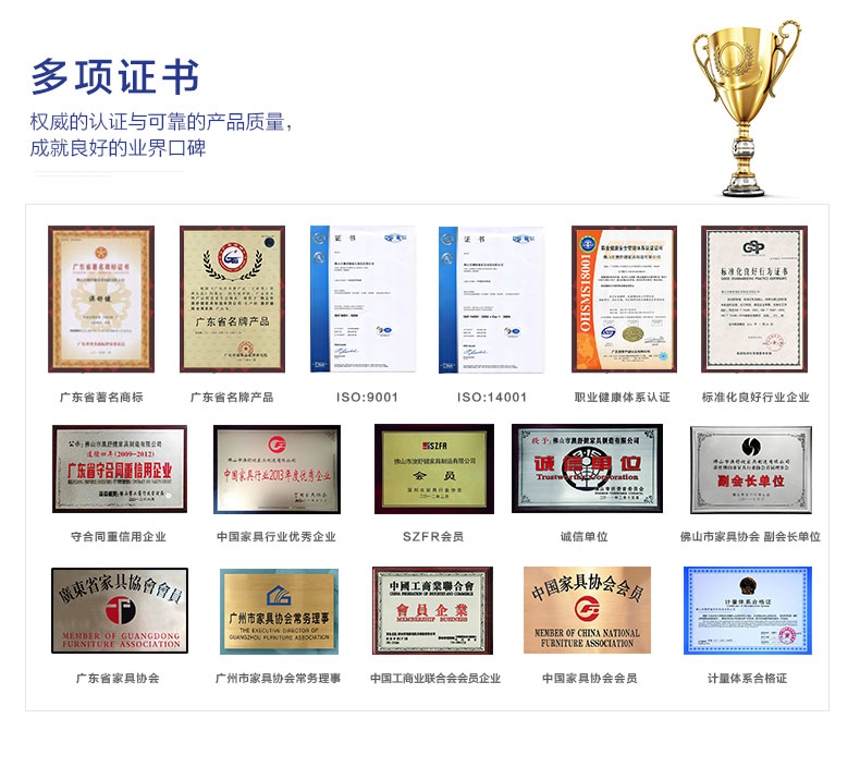 公司实力