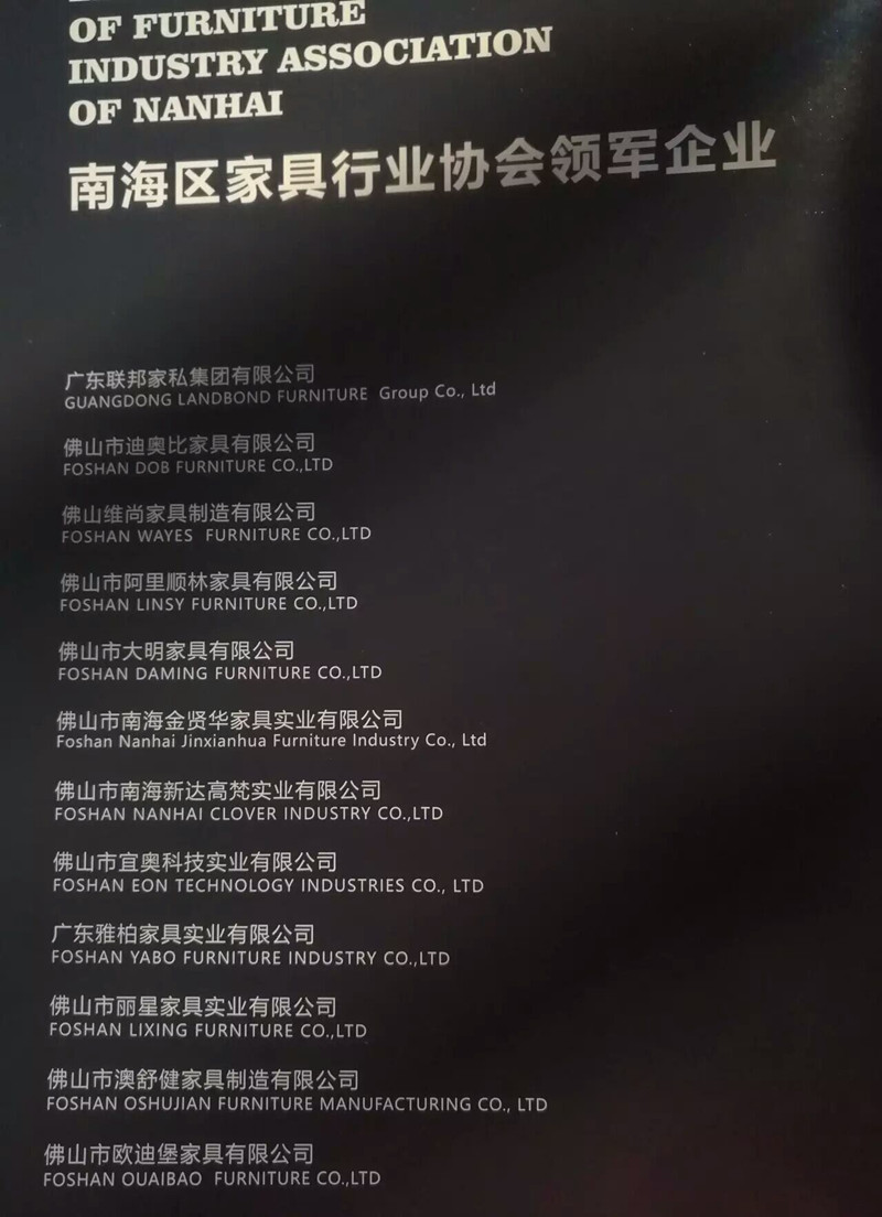 祝贺南海家具协会成立一周年(图5)
